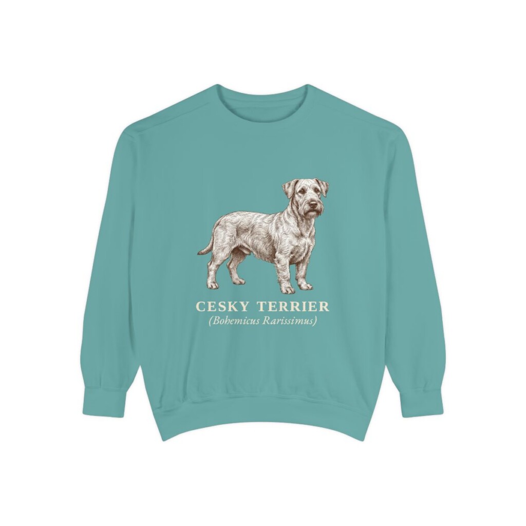 Cesky Terrier Latin Sweatshirt, Seafoam, front view