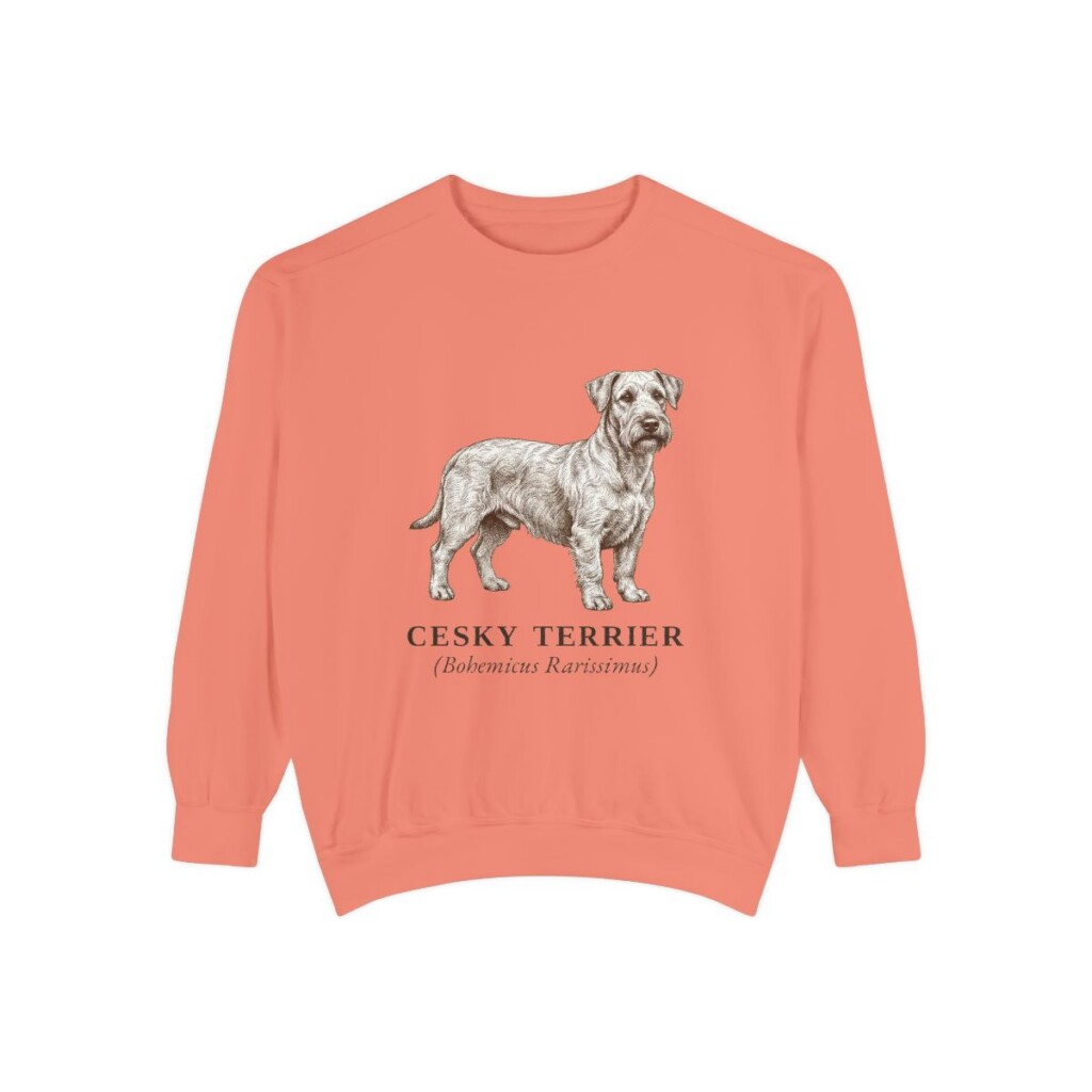 Cesky Terrier Latin Sweatshirt, Terracotta, front view