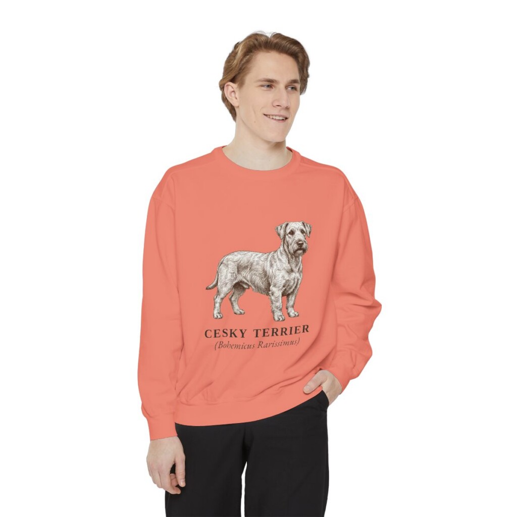 Cesky Terrier Latin Sweatshirt, Terracotta, person 1 front