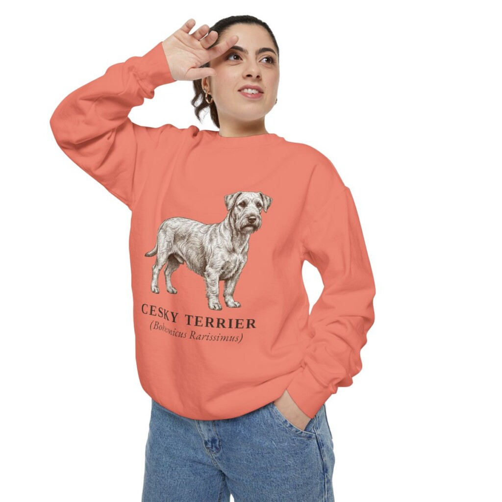 Cesky Terrier Latin Sweatshirt, Terracotta, person 2 context