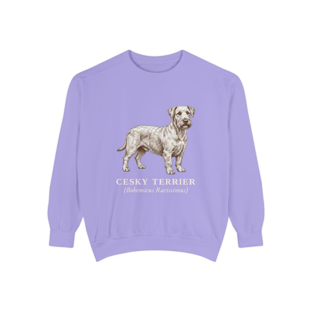 Cesky Terrier Latin Sweatshirt, Violet, front view