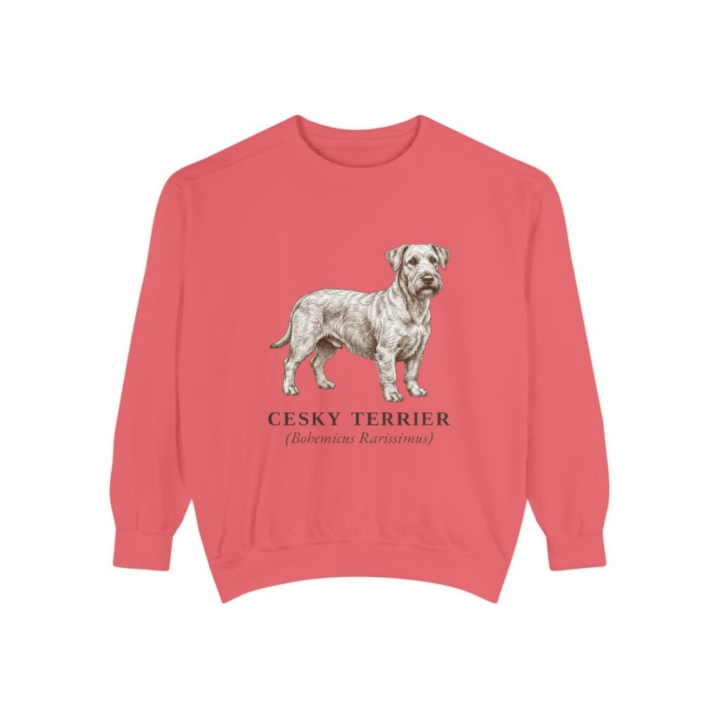 Cesky Terrier Latin Sweatshirt, Watermelon, front view