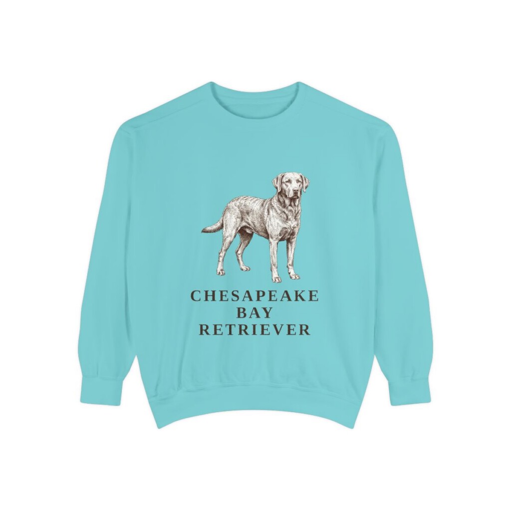 Chesapeake Bay Retriever Sweatshirt, Chalky Mint, front view