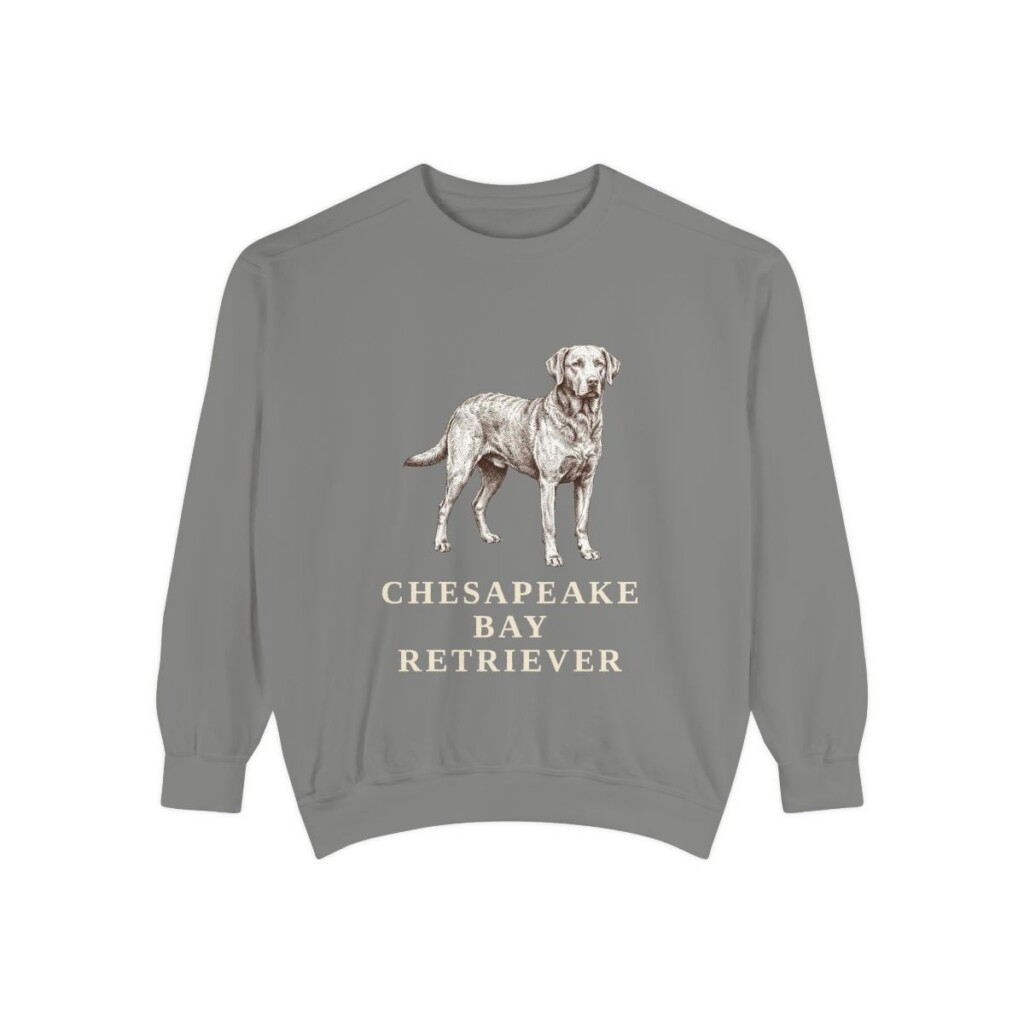 Chesapeake Bay Retriever Sweatshirt, Grey, front view