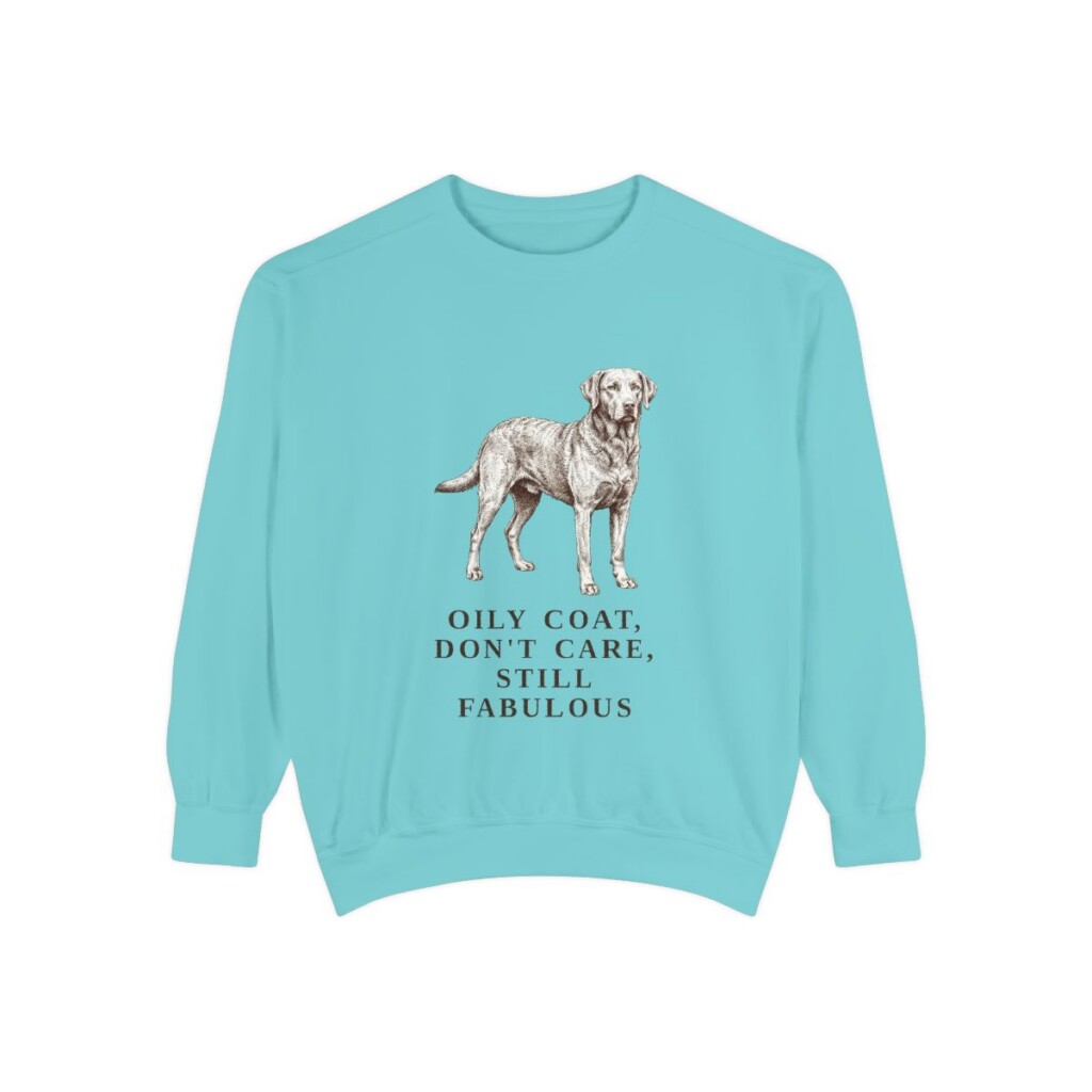 Chesapeake Bay Retriever Humor Sweatshirt, Chalky Mint, front view
