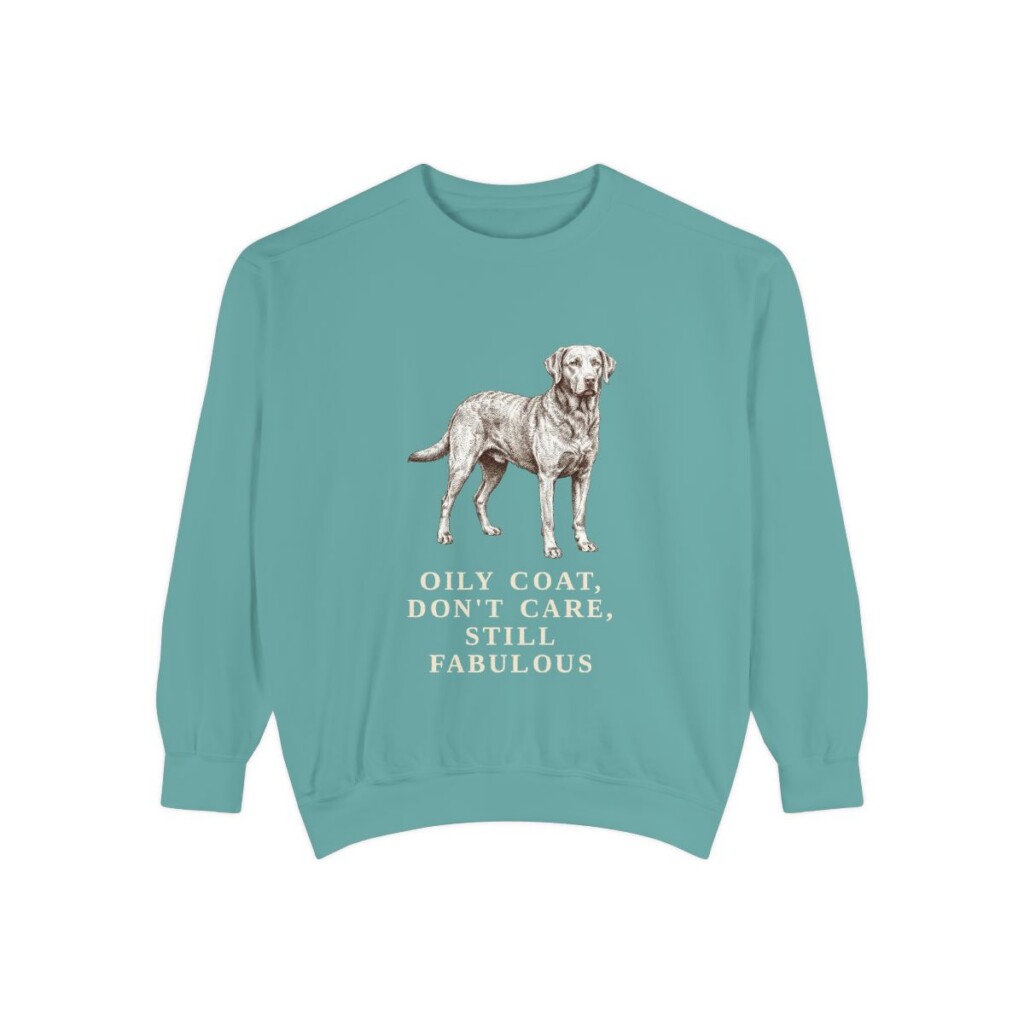 Chesapeake Bay Retriever Humor Sweatshirt, Seafoam, front view