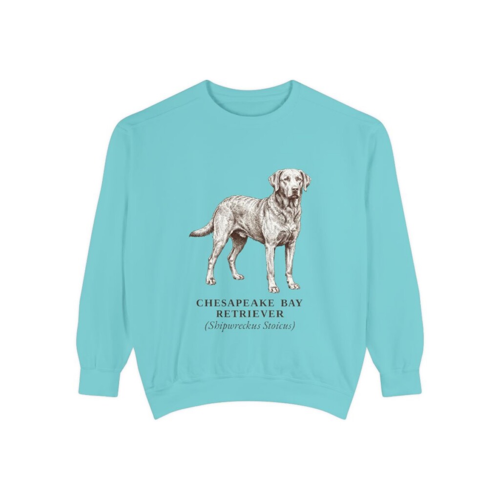 Chesapeake Bay Retriever Latin Sweatshirt, Chalky Mint, front view