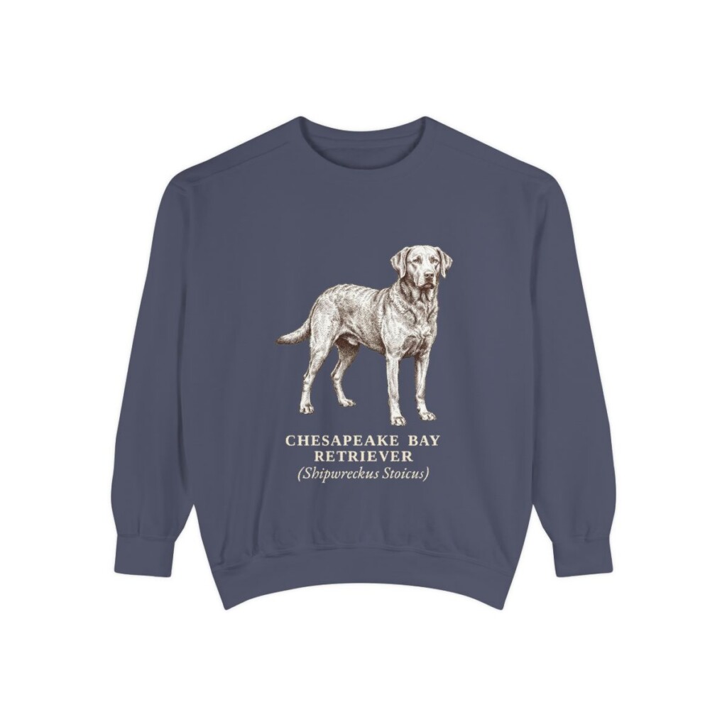 Chesapeake Bay Retriever Latin Sweatshirt, Denim, front view
