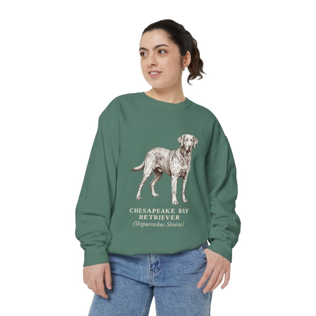 Chesapeake Bay Retriever Latin Sweatshirt, Light Green, person 2 front