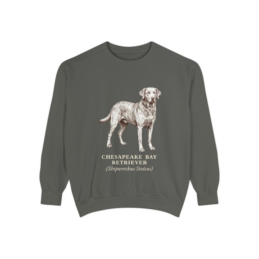 Chesapeake Bay Retriever Latin Sweatshirt, Pepper, front view
