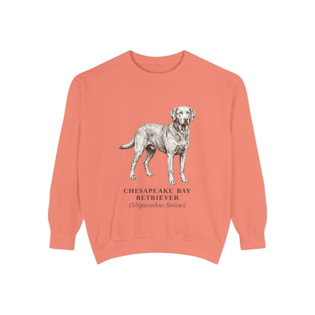 Chesapeake Bay Retriever Latin Sweatshirt, Terracotta, front view
