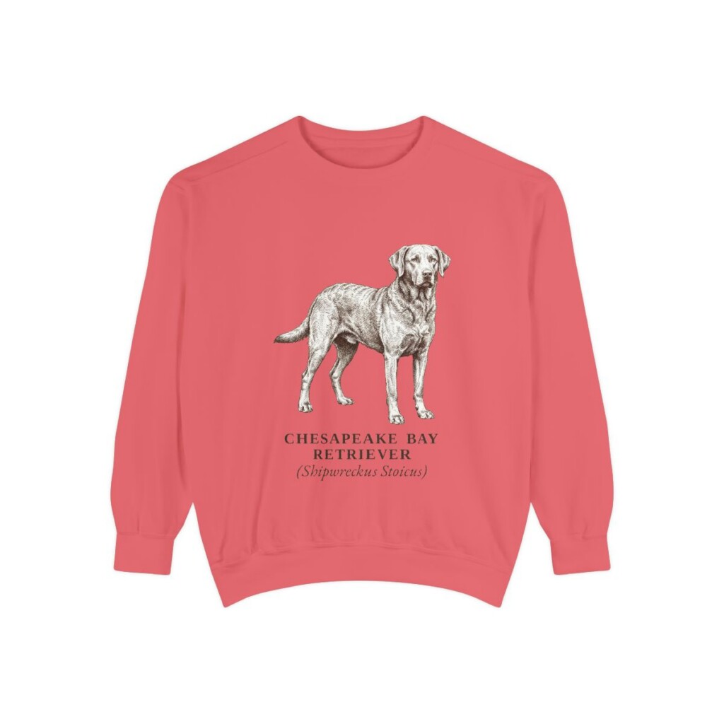 Chesapeake Bay Retriever Latin Sweatshirt, Watermelon, front view