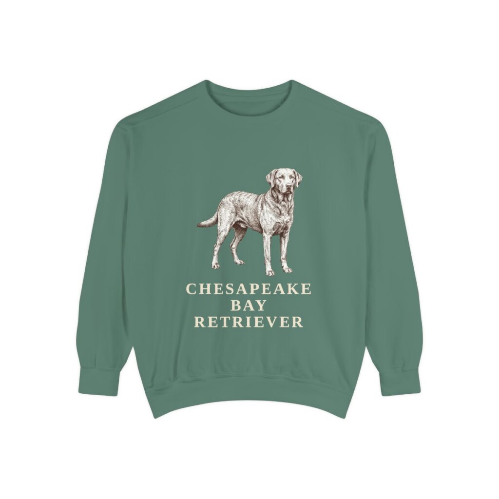 Chesapeake Bay Retriever Sweatshirt, Light Green, front view