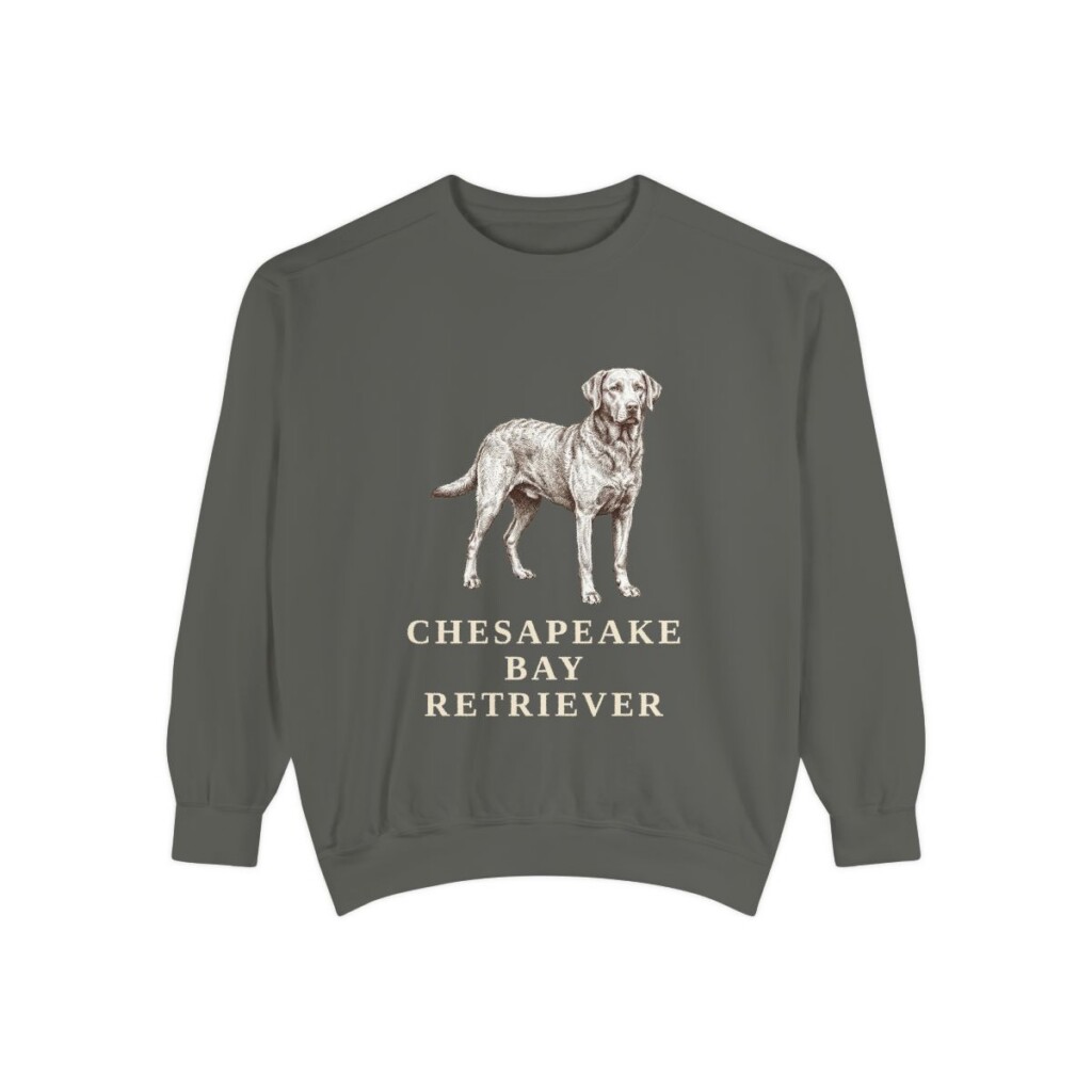 Chesapeake Bay Retriever Sweatshirt, Pepper, front view