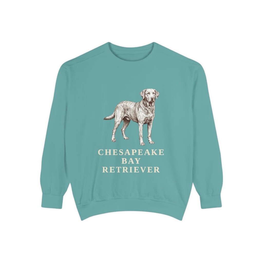 Chesapeake Bay Retriever Sweatshirt, Seafoam, front view