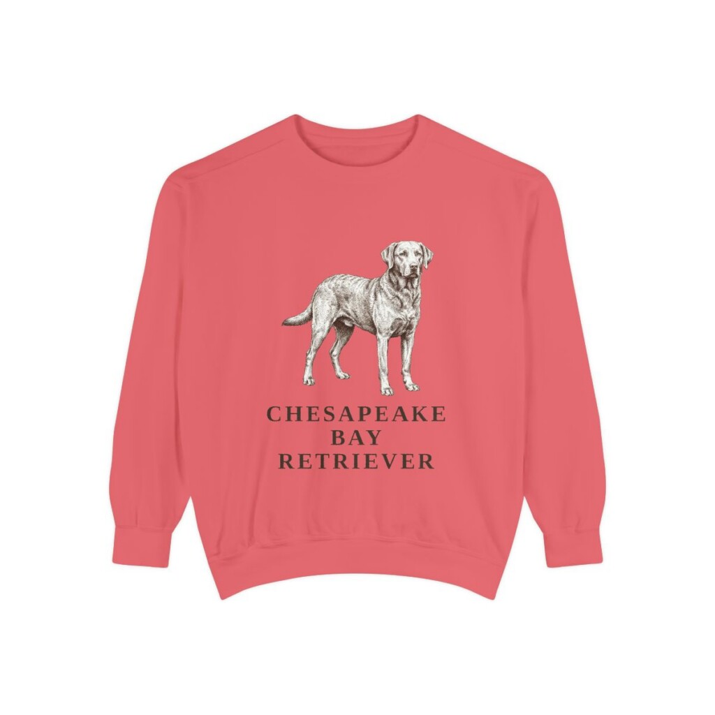 Chesapeake Bay Retriever Sweatshirt, Watermelon, front view