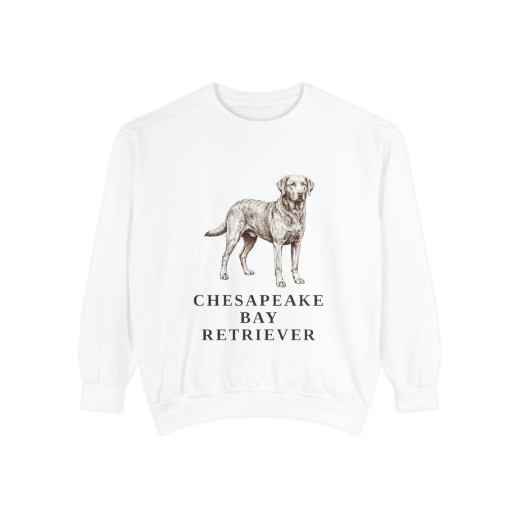 Chesapeake Bay Retriever Sweatshirt, White, front view