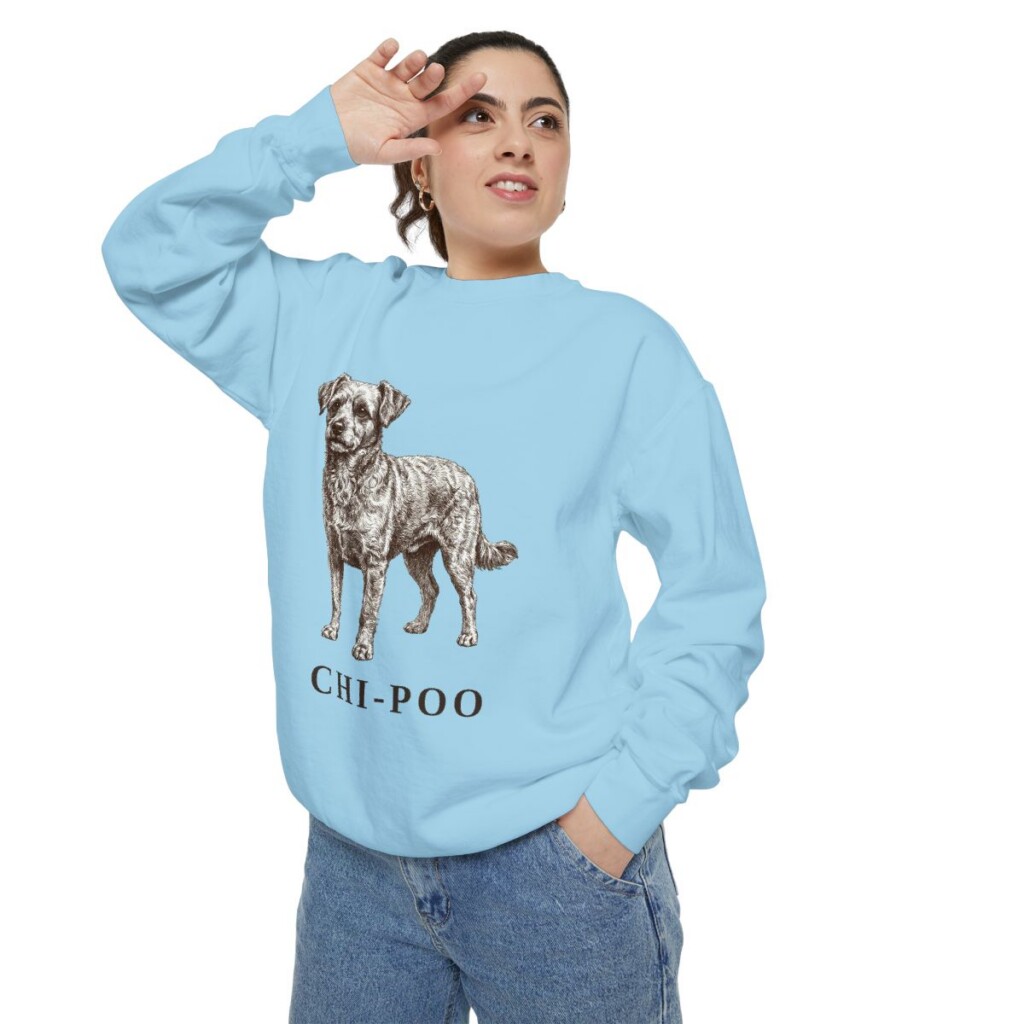 chi-poo-sweatshirt-chambray-person-2-context Chi-Poo Sweatshirt, Chambray, person 2 context