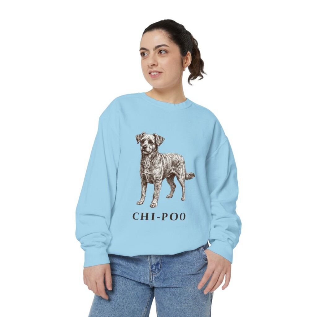 chi-poo-sweatshirt-chambray-person-2-front Chi-Poo Sweatshirt, Chambray, person 2 front