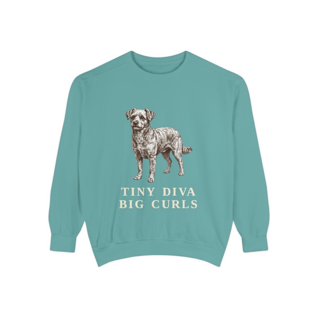 Chi-Poo Humor Sweatshirt, Seafoam, front view