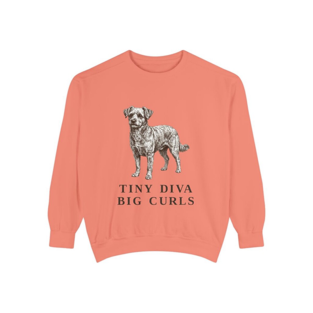 Chi-Poo Humor Sweatshirt, Terracotta, front view