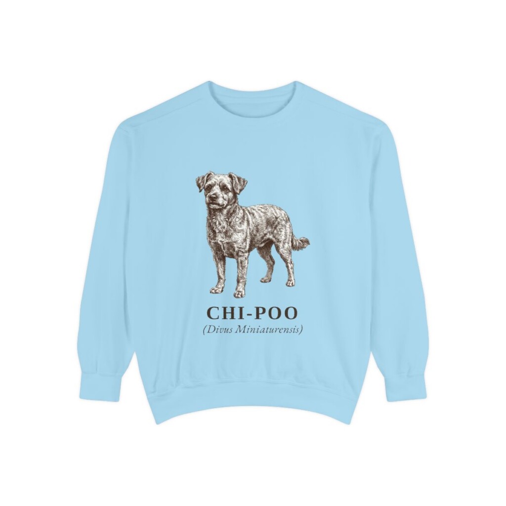 chi-poo-sweatshirt-latin-chambray Chi-Poo Latin Sweatshirt, Chambray, front view