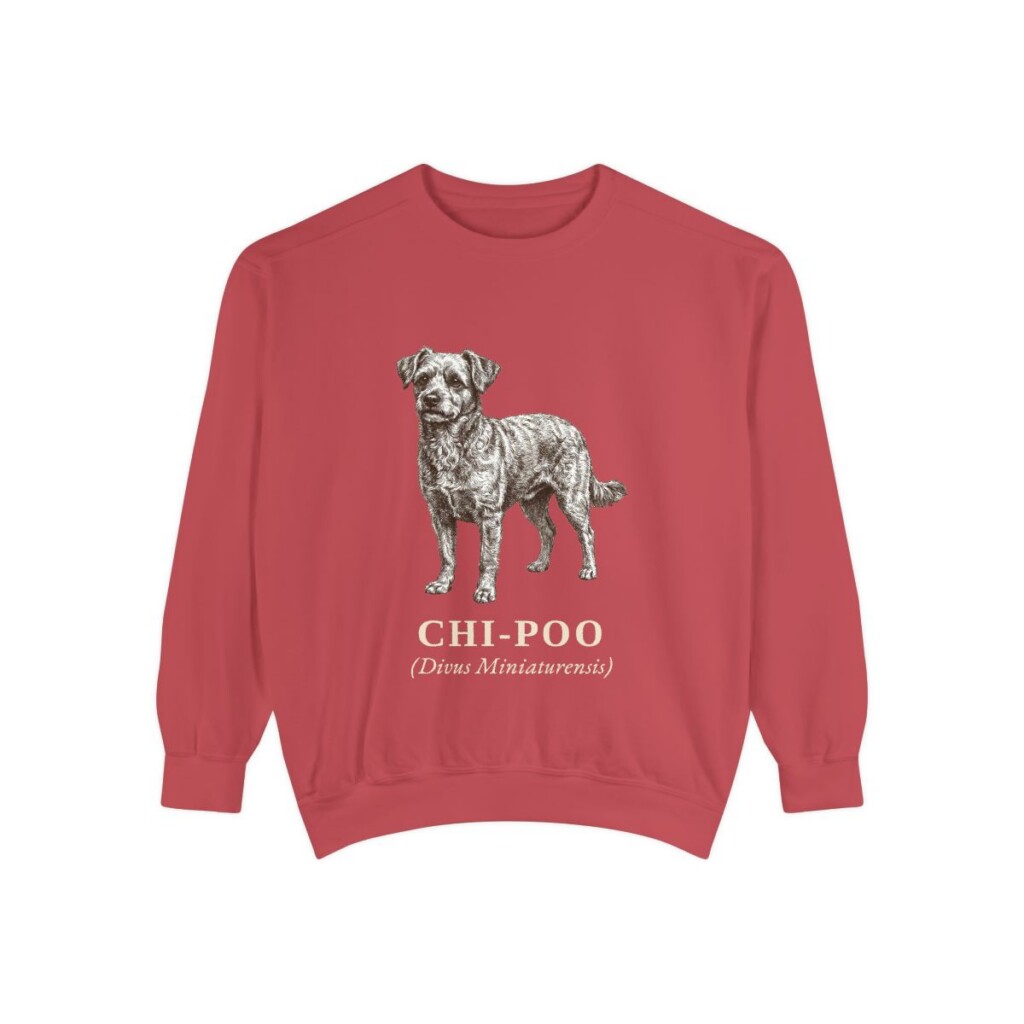 chi-poo-sweatshirt-latin-crimson Chi-Poo Latin Sweatshirt, Crimson, front view