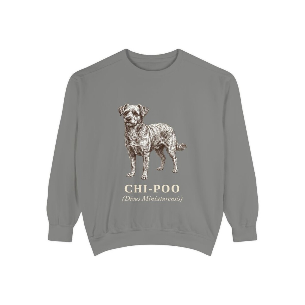 chi-poo-sweatshirt-latin-grey Chi-Poo Latin Sweatshirt, Grey, front view