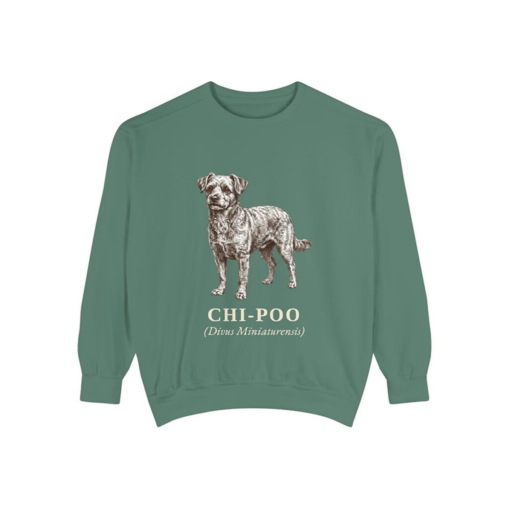 chi-poo-sweatshirt-latin-light-green Chi-Poo Latin Sweatshirt, Light Green, front view