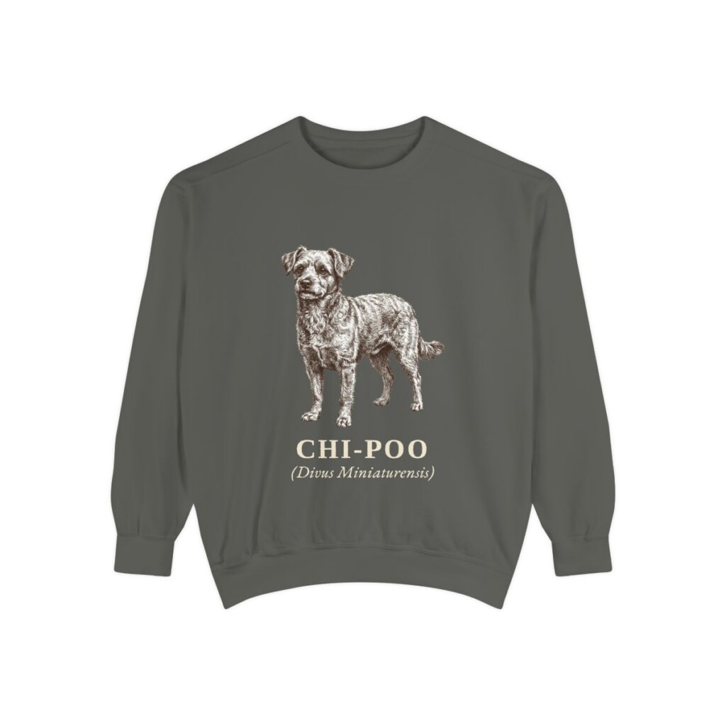 chi-poo-sweatshirt-latin-pepper Chi-Poo Latin Sweatshirt, Pepper, front view