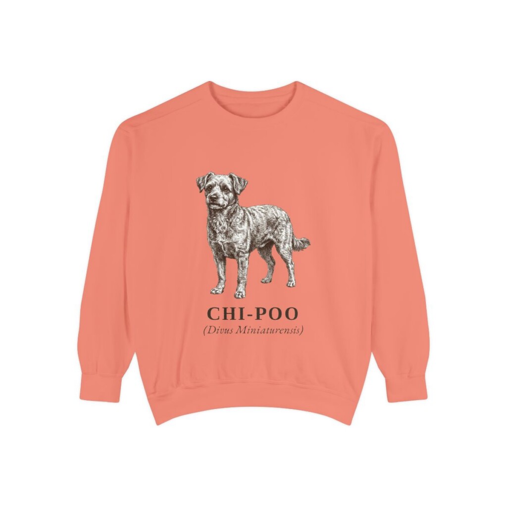 chi-poo-sweatshirt-latin-terracotta Chi-Poo Latin Sweatshirt, Terracotta, front view