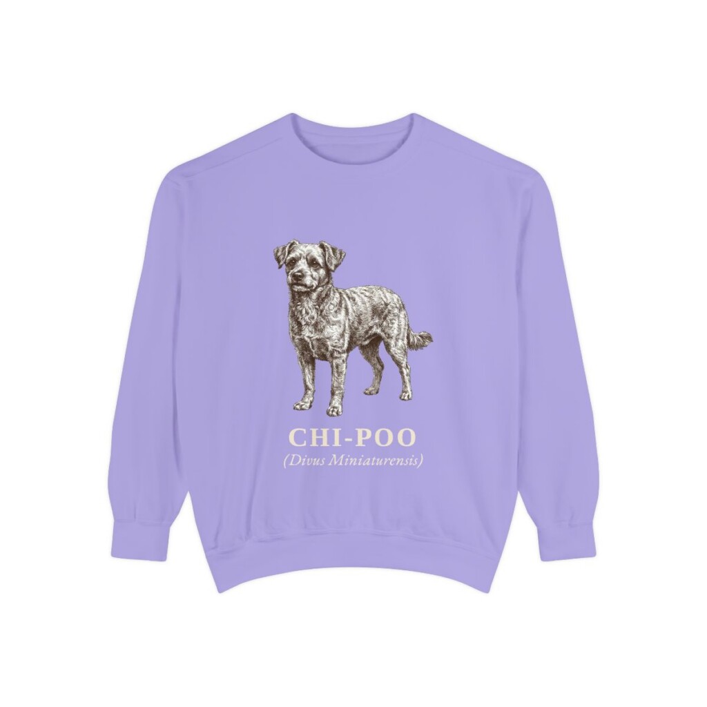 chi-poo-sweatshirt-latin-violet Chi-Poo Latin Sweatshirt, Violet, front view