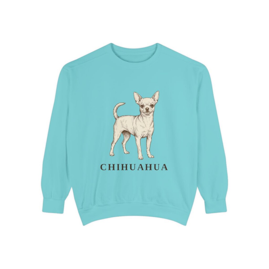 chihuahua-sweatshirt-chalky-mint Chihuahua Sweatshirt, Chalky Mint, front view