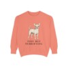 Chihuahua Humor Sweatshirt, Terracotta, front view