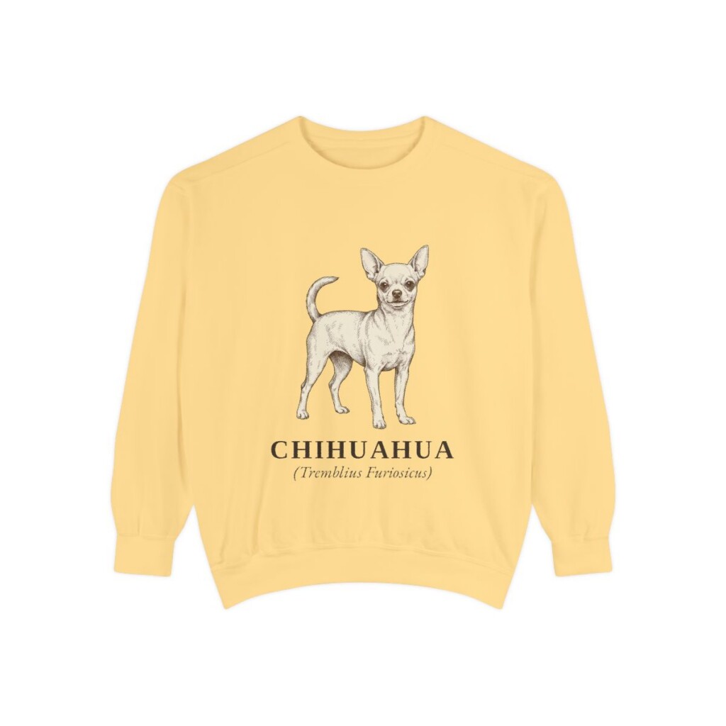 Chihuahua Latin Sweatshirt, Butter, front view