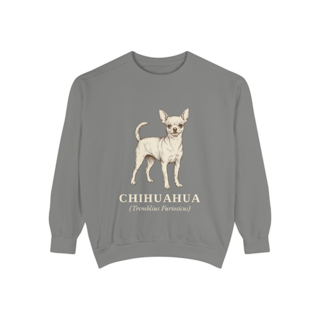 Chihuahua Latin Sweatshirt, Grey, front view