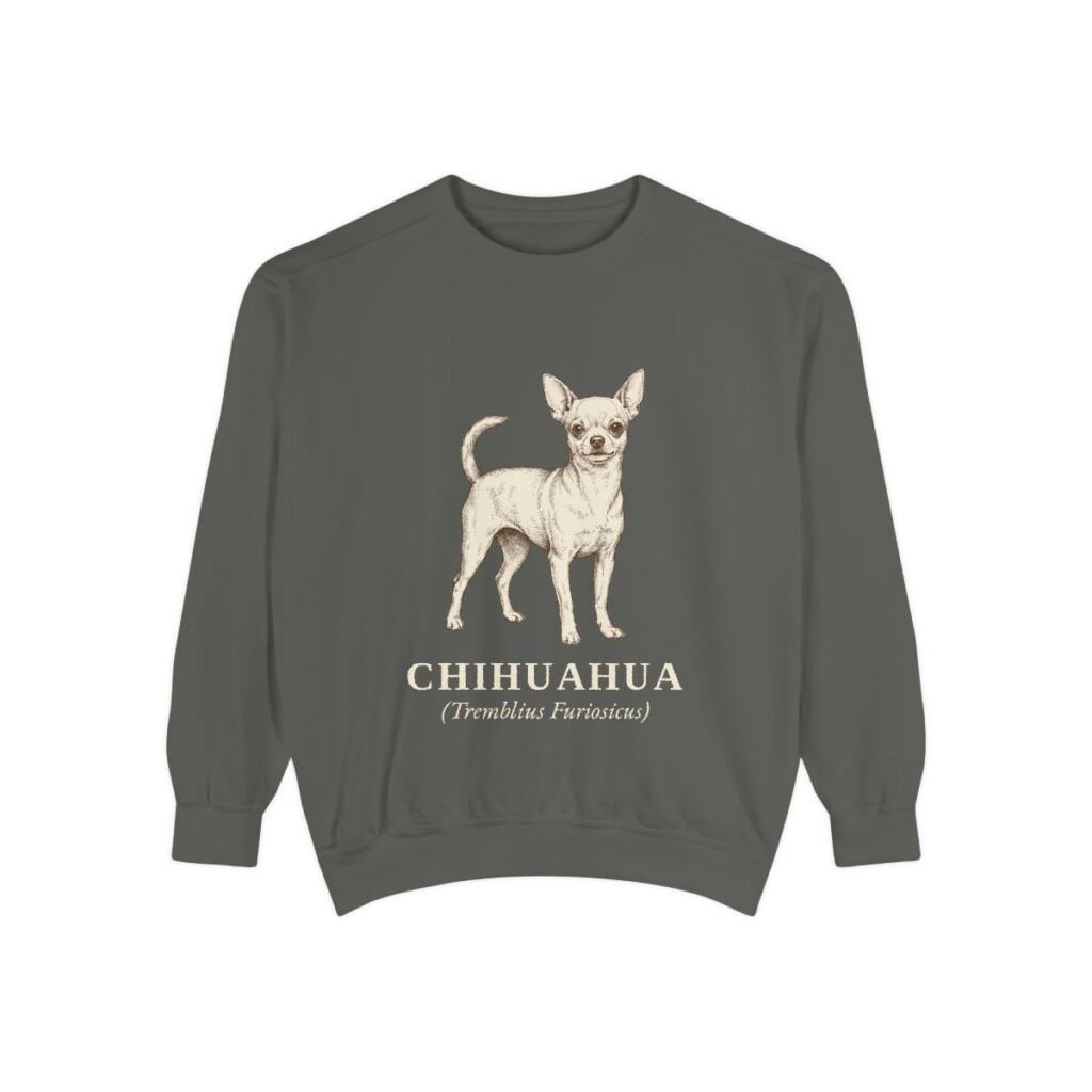 Chihuahua Latin Sweatshirt, Pepper, front view
