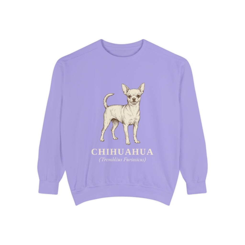 Chihuahua Latin Sweatshirt, Violet, front view