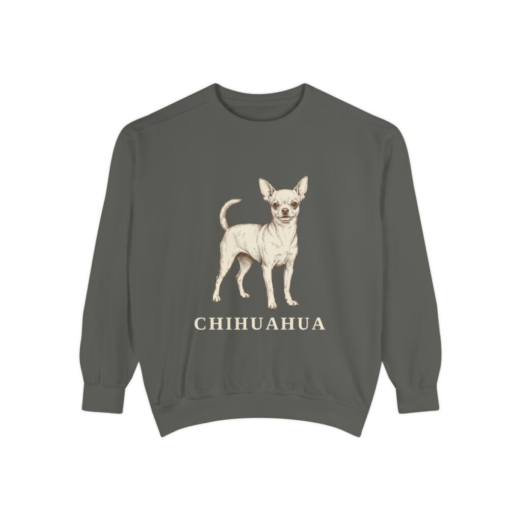 chihuahua-sweatshirt-pepper Chihuahua Sweatshirt, Pepper, front view