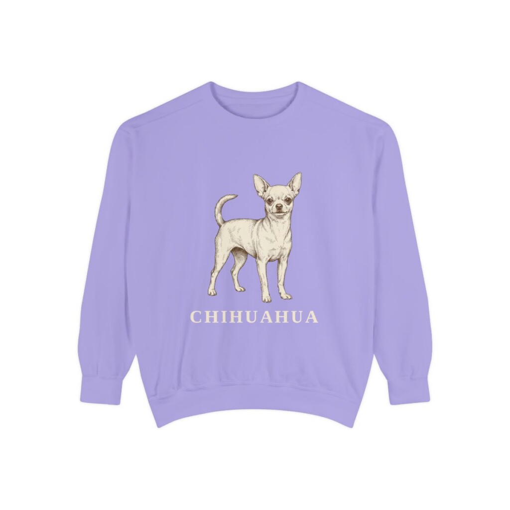chihuahua-sweatshirt-violet Chihuahua Sweatshirt, Violet, front view