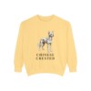 Chinese Crested Sweatshirt, Butter, front view