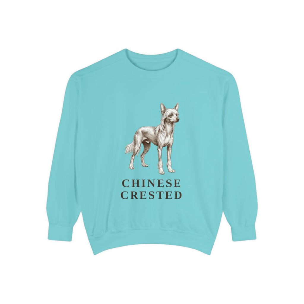 Chinese Crested Sweatshirt, Chalky Mint, front view