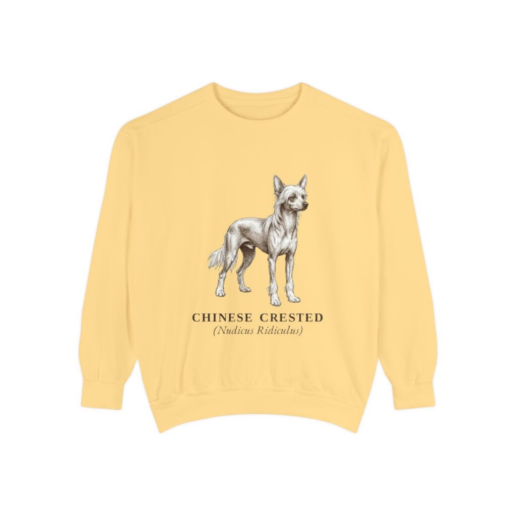 Chinese Crested Latin Sweatshirt, Butter, front view