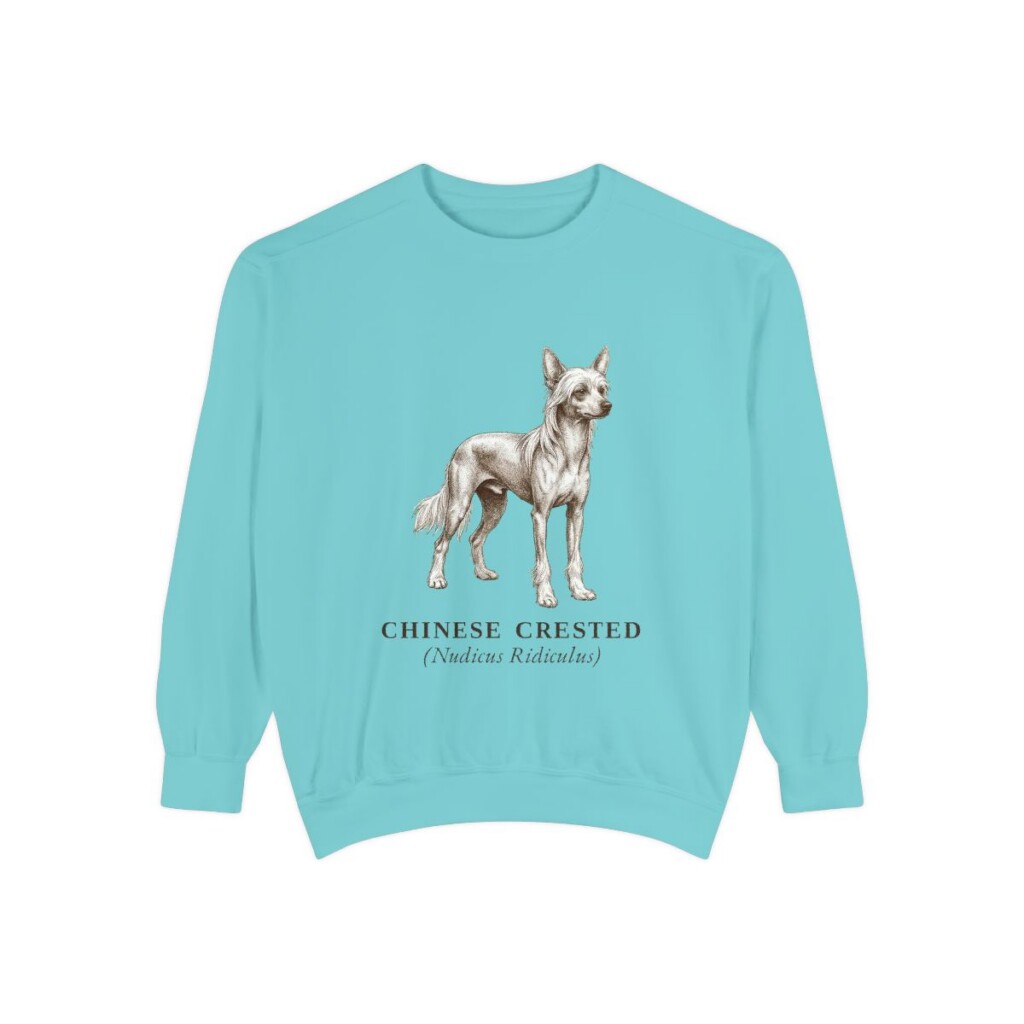 Chinese Crested Latin Sweatshirt, Chalky Mint, front view