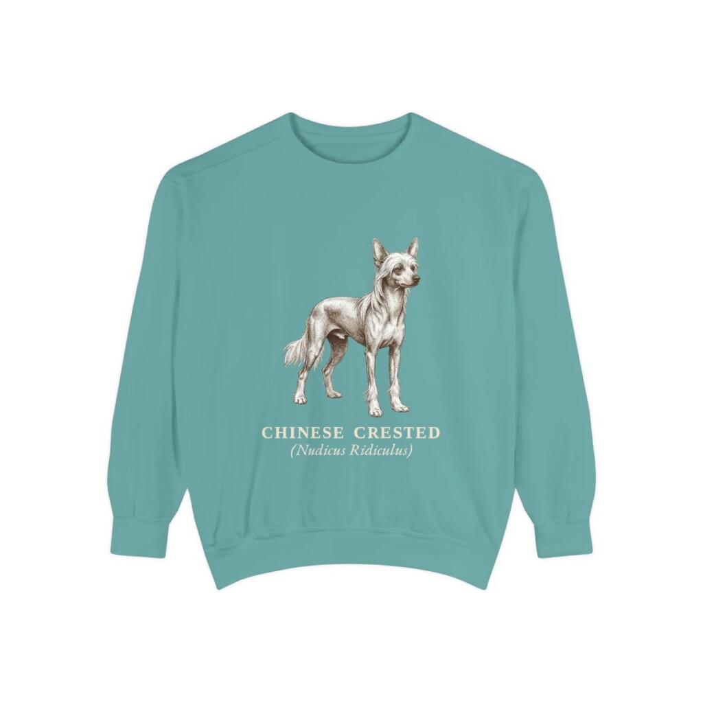Chinese Crested Latin Sweatshirt, Seafoam, front view