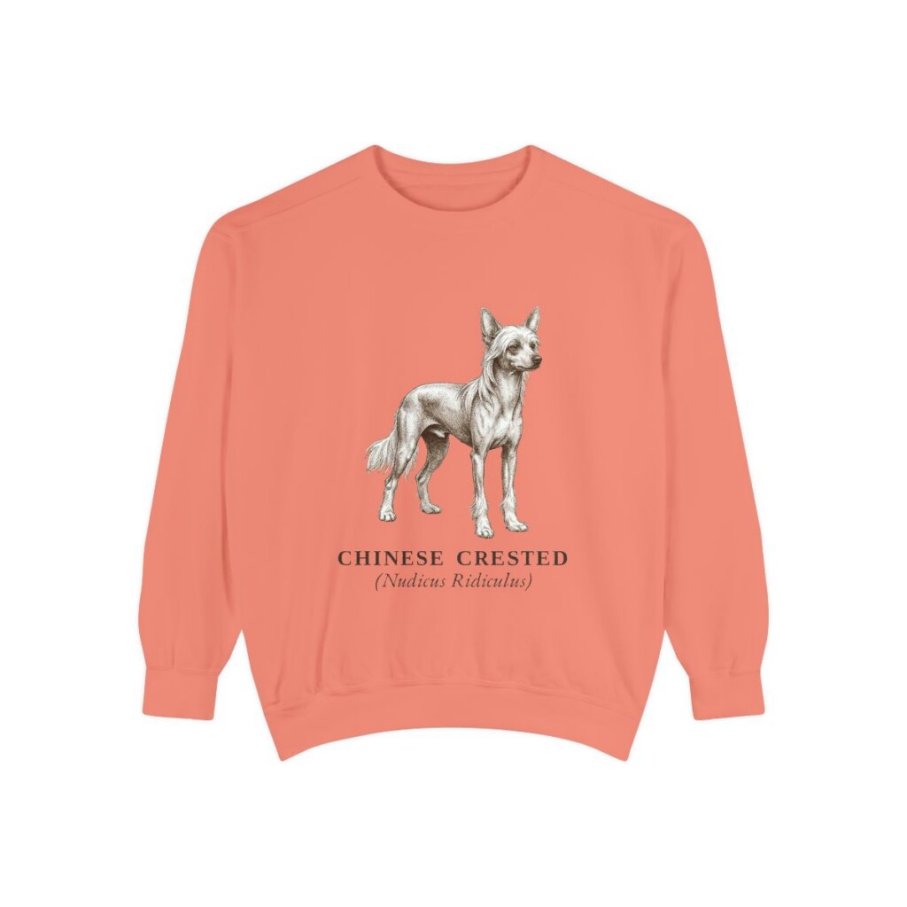 Chinese Crested Latin Sweatshirt, Terracotta, front view