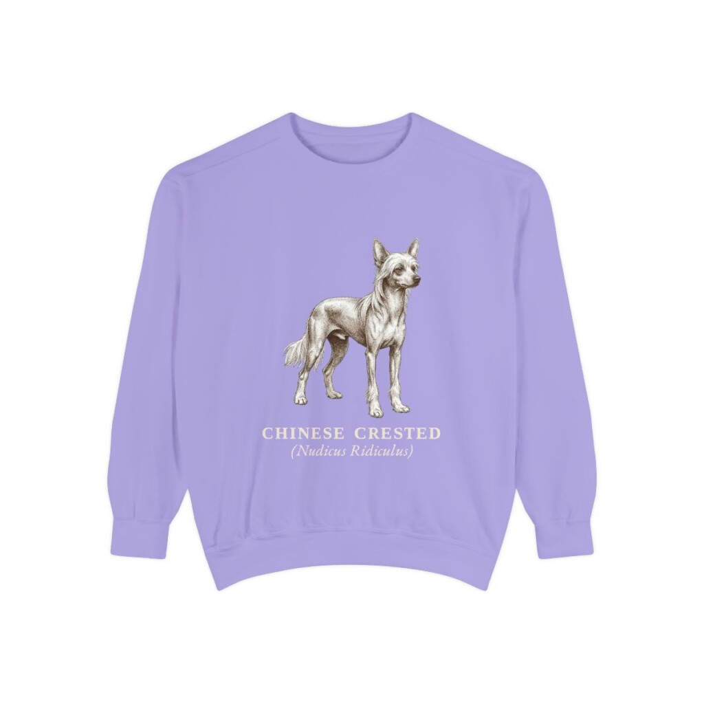 Chinese Crested Latin Sweatshirt, Violet, front view