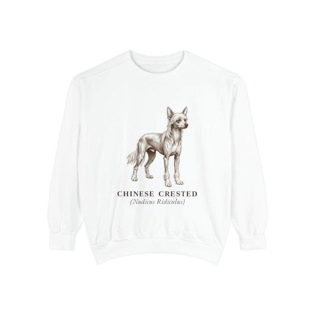 Chinese Crested Latin Sweatshirt, White, front view