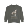 Chinese Crested Sweatshirt, Pepper, front view