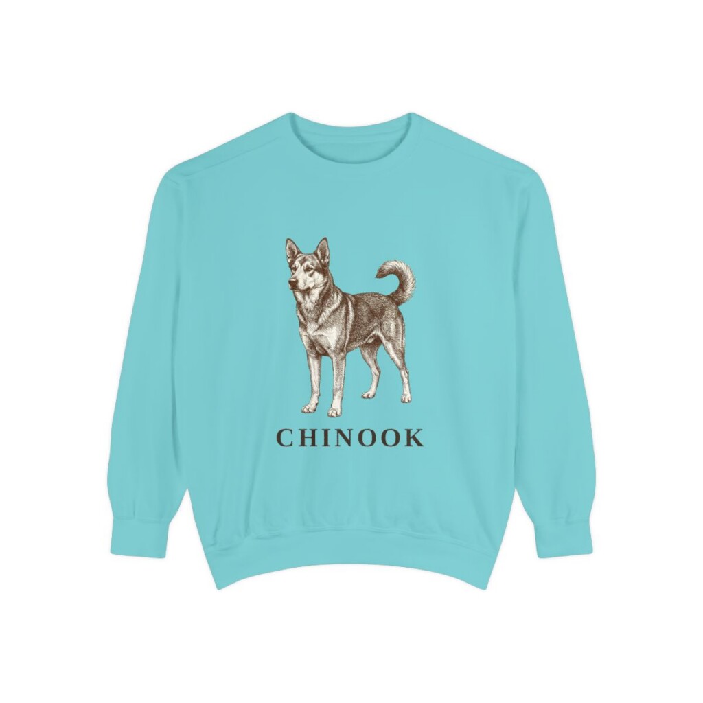 Chinook Sweatshirt, Chalky Mint, front view